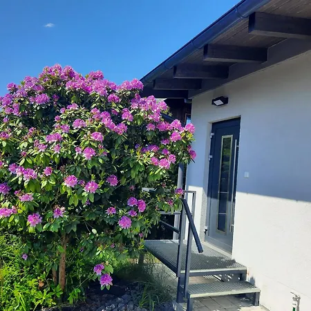 Na Brehu Labe S Vlastnim Molem Ferienhaus