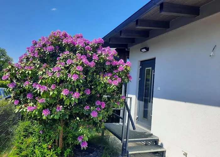 Na Brehu Labe S Vlastnim Molem Holiday home